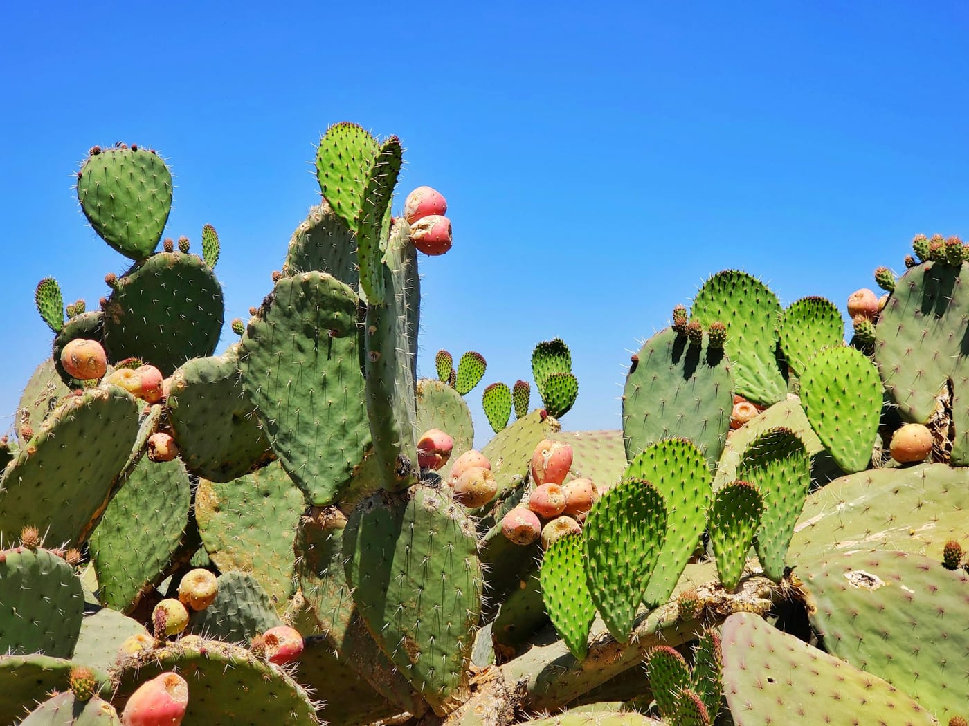 Are VPNs Legal in Mexico? Everything You Need to Know (2026)