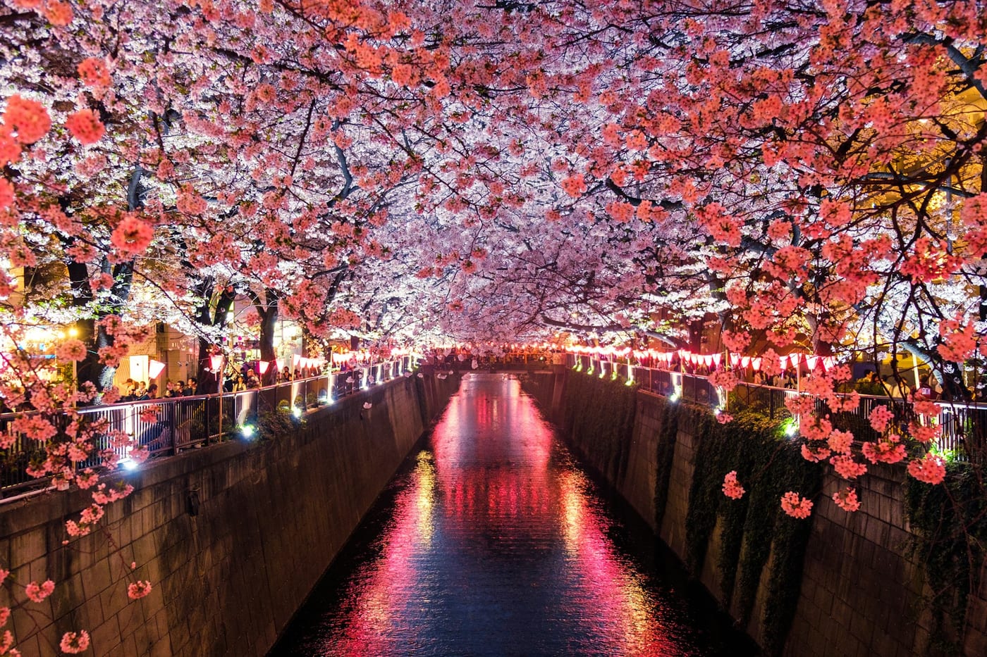 Can I Use a VPN in Japan? Everything You Need to Know