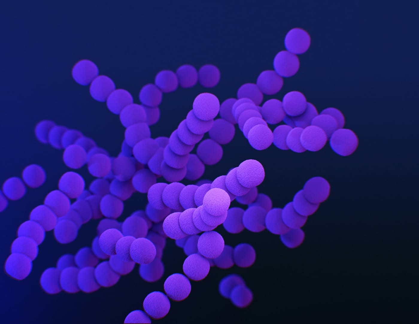 Facts About Computer Viruses