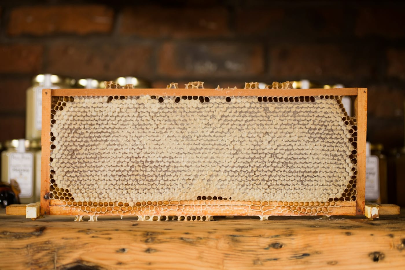 How Honeypots Play a Role In Cybersecurity
